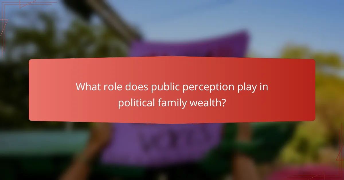 What role does public perception play in political family wealth?